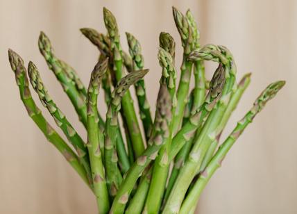 Quali sono le principali proprietà degli asparagi?