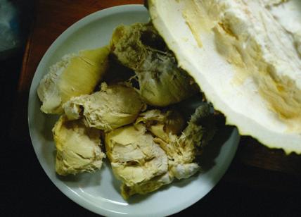 Cina, tutti pazzi per il durian: cos'è il frutto più puzzolente al mondo