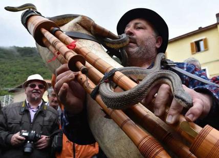 Duecento serpenti in un solo giorno: a Cocullo si rinnova il rito dei serpari