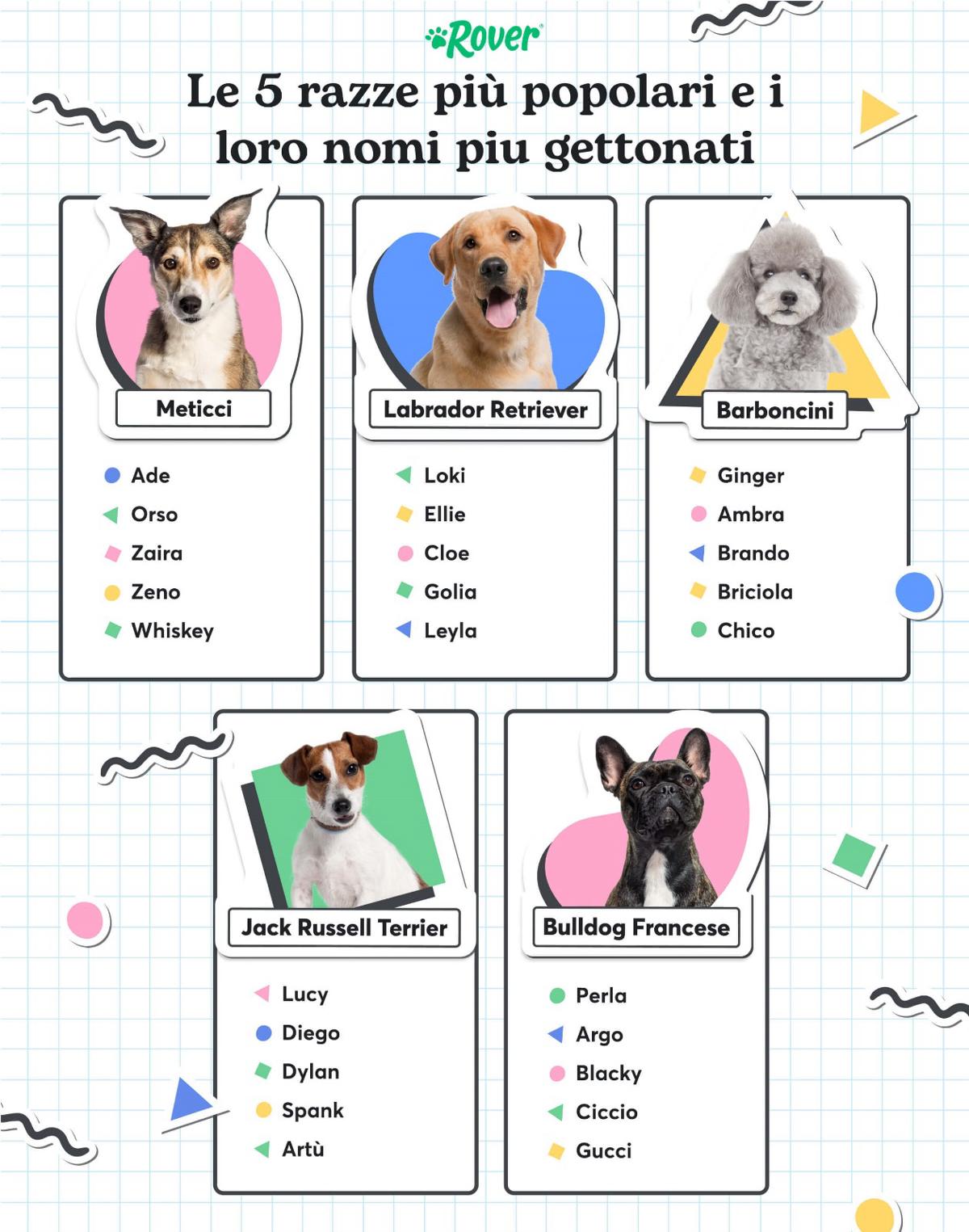 Report nomi più scelti per i cani