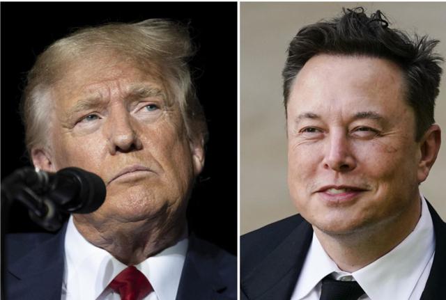 Trump e Musk