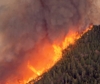 Il Canada teme un'altra estate apocalittica: quasi 600 incendi nell'Ovest
