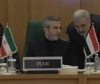 M.O., meeting dei ministri della Cooperazione islamica (OIC) a Gedda