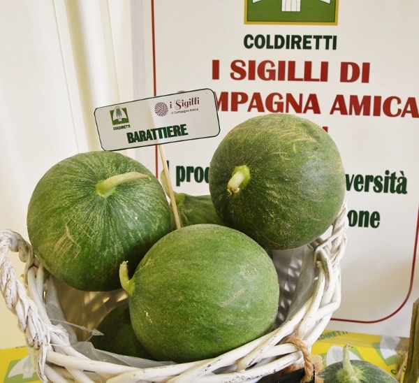 barattiere barattiere