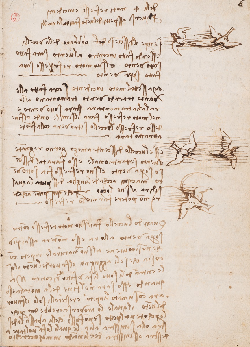 Codice sul volo degli uccelli di Leonardo da Vinci