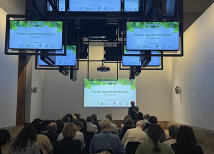 Milano, Forestami entra in dialogo con il settore dell’agroforestazione