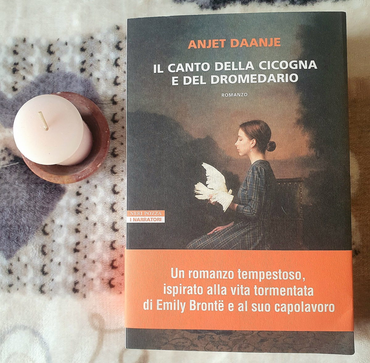 8) Il canto della cicogna e del dromedario di Anjet Daanje (Neri Pozza)