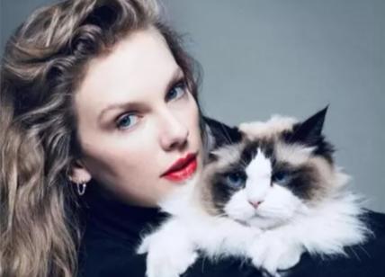 Usa 2024, Taylor Swift si schiera: "Voterò la Harris". Poi la frecciata a Trump: la foto col gatto