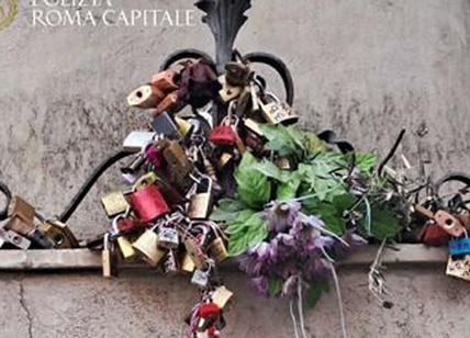 Lucchetti dell'amore, rimossi 700 chili di "sigilli" a Fontana di Trevi