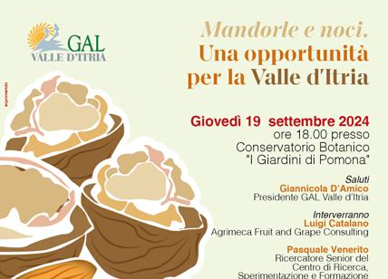 Mandorle e noci, una opportunità per la Valle d’Itria