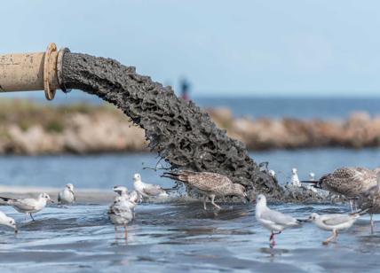 Serena estate al mare: l'87% del Mediterraneo è inquinato. "E' colpa nostra"