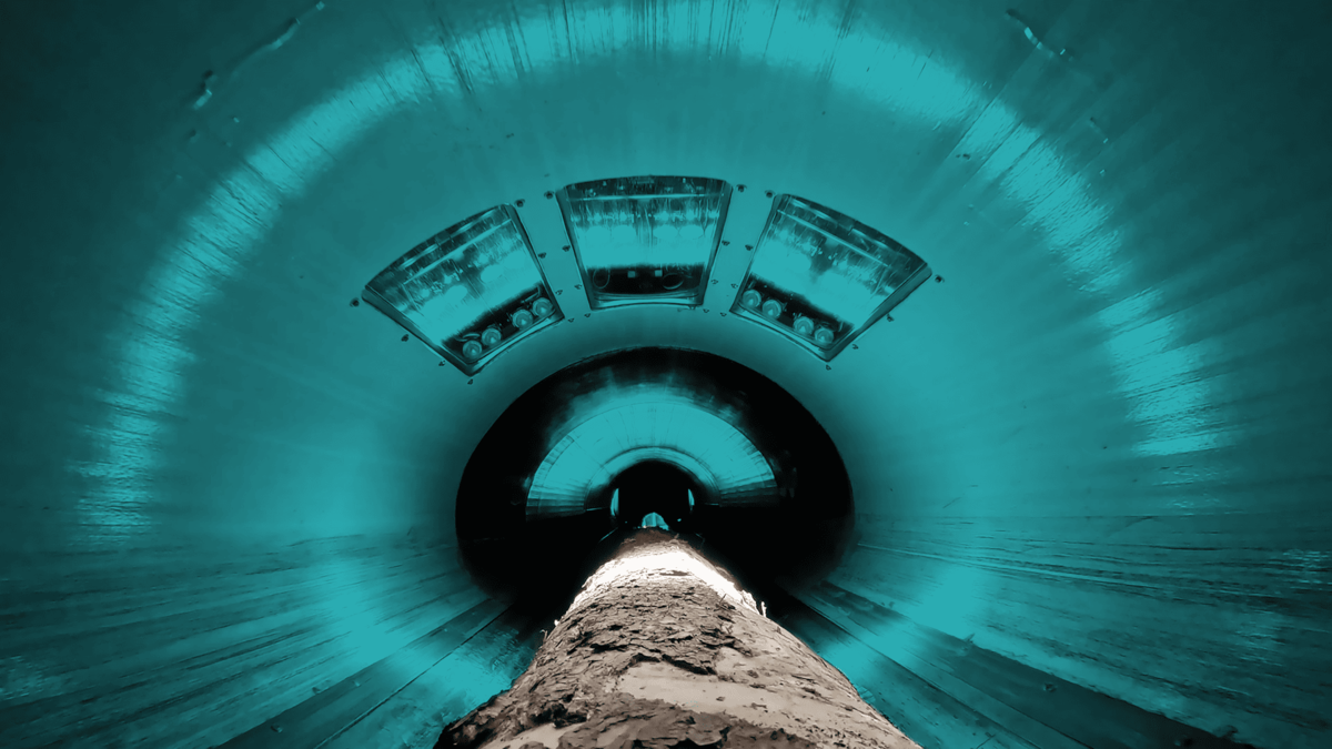 MiCROTEC_CT Log (dall'interno durante la scansione di un tronco) MiCROTEC_CT Log (dall'interno durante la scansione di un tronco)