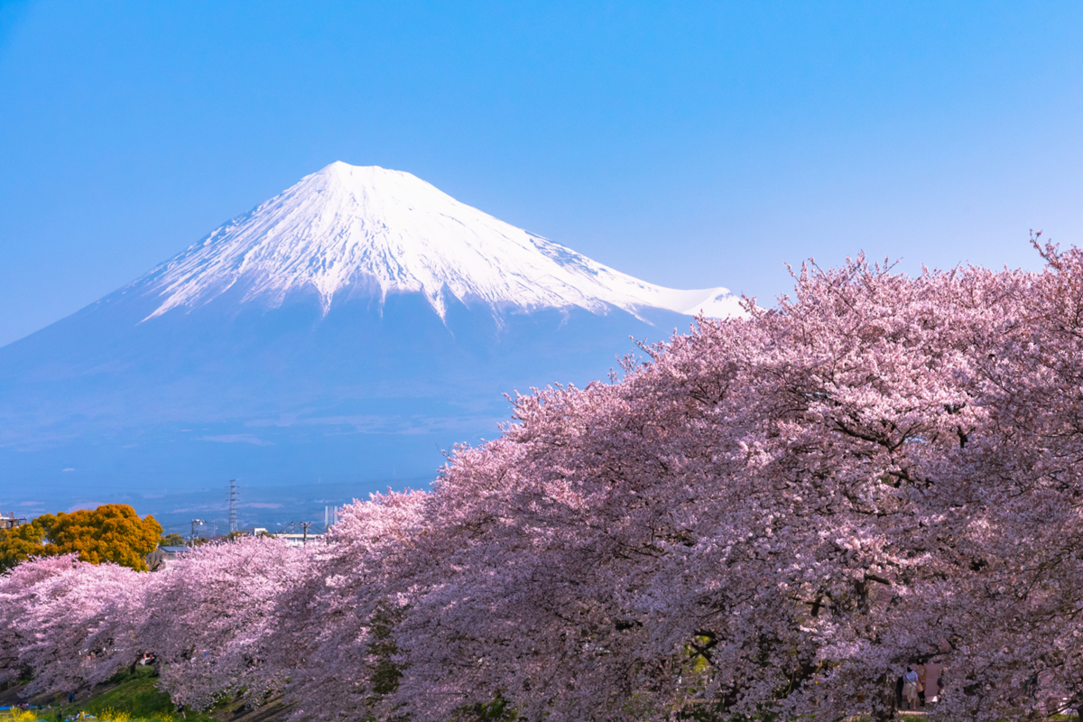 Monte Fuji