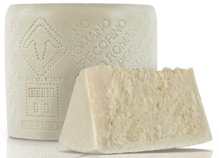 Pecorino romano Dop, la beffa: la Sardegna festeggia la super produzione: +7,1%. E l'export vola