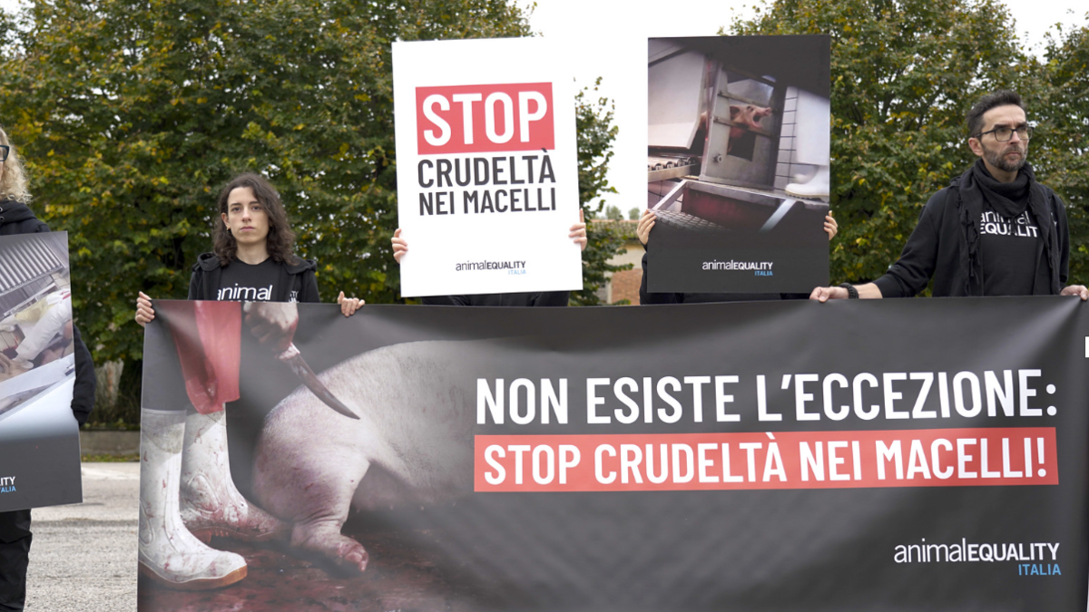 In protesta contro il macello Belli all'ATS di Mantova