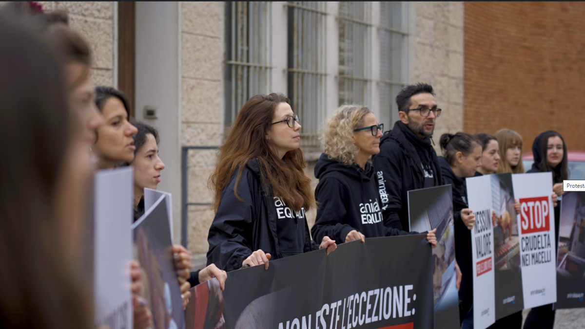 In protesta contro il macello Belli all'ATS di Mantova