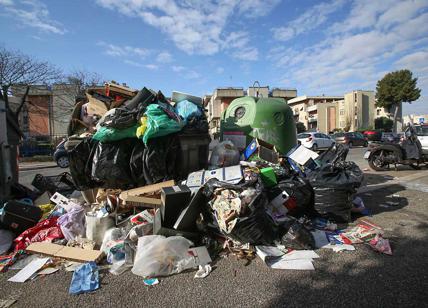 Dopo i roghi, larve, topi e gabbiani: le piaghe bibliche di Roma denunciate dall'Ordine dei Medici