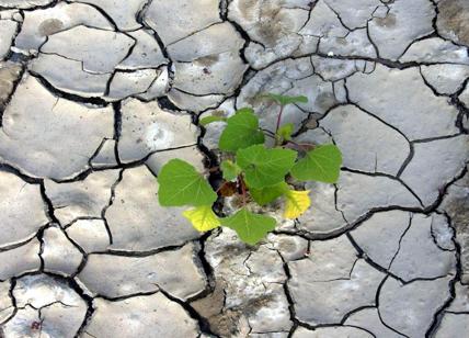 Siccità, Caporetto 2.0: Italia assetata e Centrosud senza più acqua. Ma gli sprechi sono ancora troppi