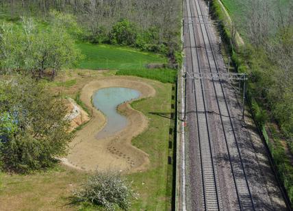 “Piantalalì”, Trenord ricollega le reti verdi vicine alla ferrovia