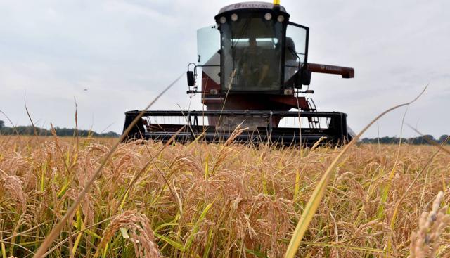 Ue-Mercosur: con l'accordo 'possibile +40% export Italia verso area' - Le previsioni di Unimpresa