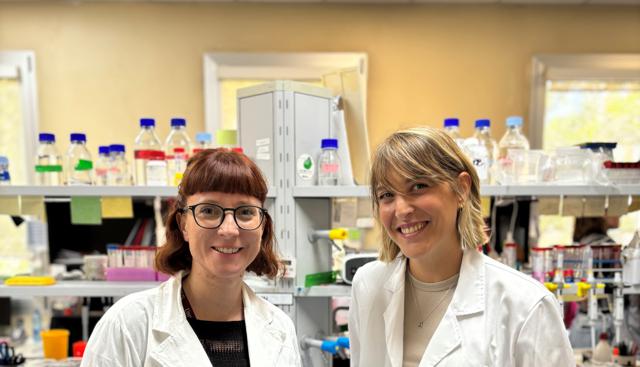 le ricercatrici dott.ssa Diana Piol e dott.ssa Alessandra Zanut vincitrici dell’ERC Starting Grant 2025 le ricercatrici dott.ssa Diana Piol e dott.ssa Alessandra Zanut vincitrici dell’ERC Starting Grant 2025